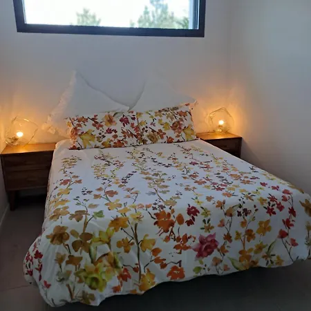 Apartment Platin *